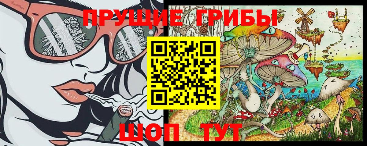 Псилоцибиновые грибы Magic Shrooms  Галлюциногенные грибы GOLDEN TEACHER  Вход с VPN  Татарск 